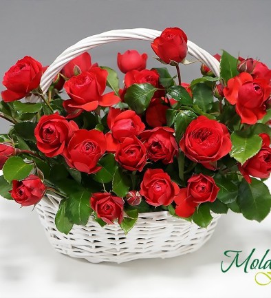 Корзина с красными пионовидными розами Фото 394x433
